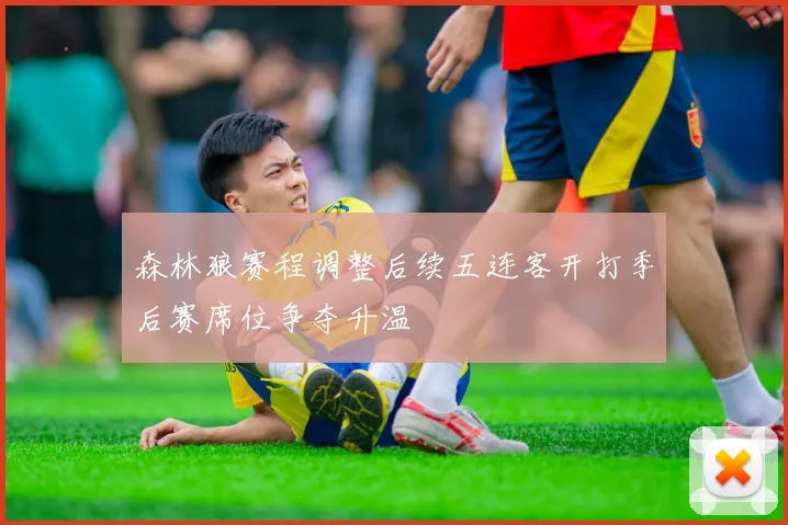 森林狼赛程调整后续五连客开打季后赛席位争夺升温