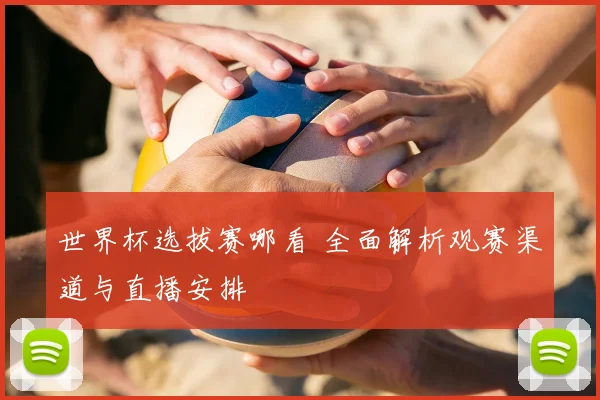 世界杯选拔赛哪看 全面解析观赛渠道与直播安排