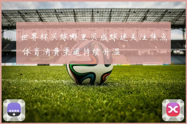 世界杯买球哪里买成球迷关注焦点 体育消费渠道持续升温