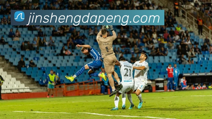 世界杯开户平台服务体系